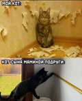 Cat 5