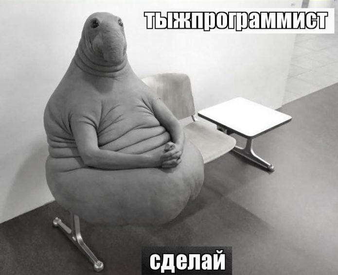 bdspbvmgd